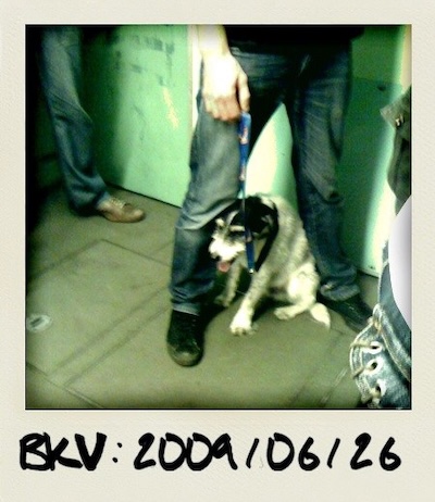 BKV projet 2009...2010