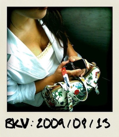 BKV projet 2009...2010